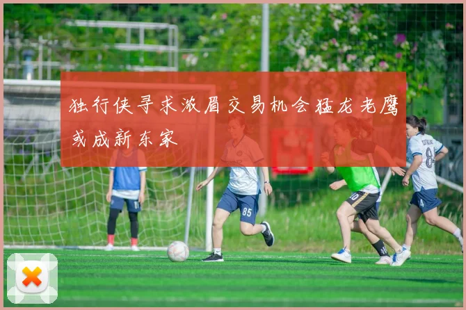 独行侠寻求浓眉交易机会猛龙老鹰或成新东家
